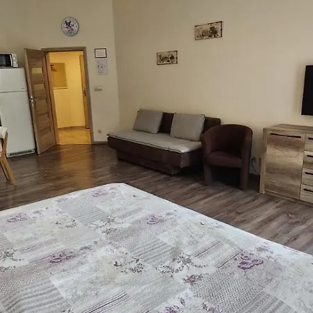 Downtown - Danzer Apartment *